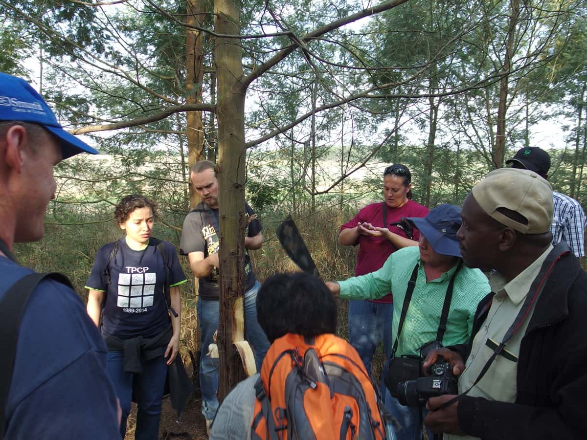 International guests of the TPCP visit local forestry companies and research institutions