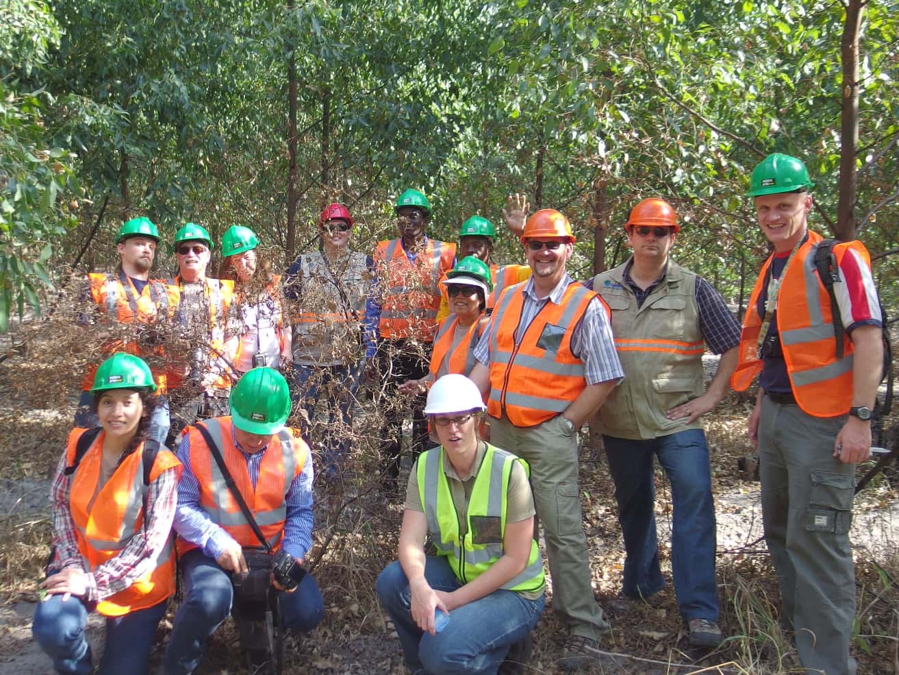 International guests of the TPCP visit local forestry companies and research institutions