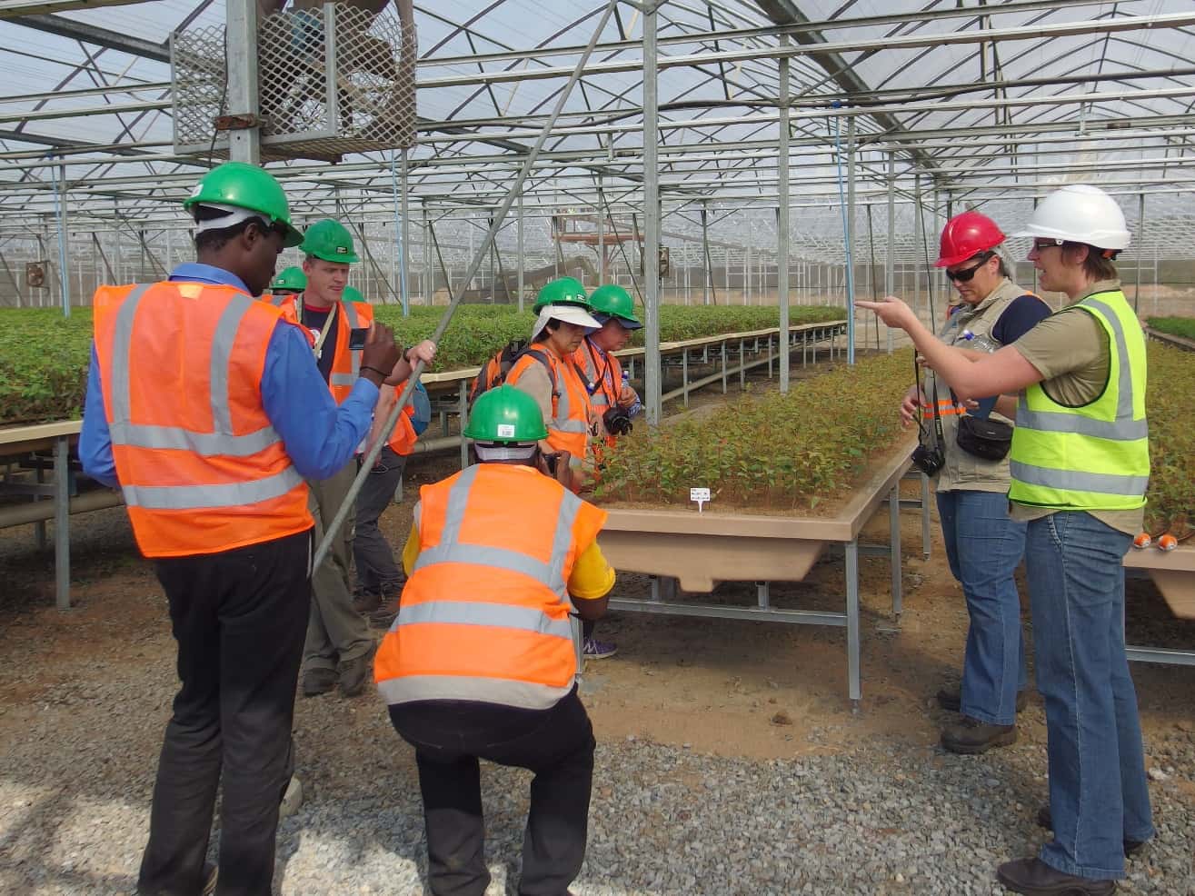 International guests of the TPCP visit local forestry companies and research institutions