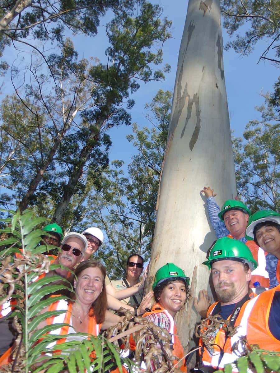 International guests of the TPCP visit local forestry companies and research institutions