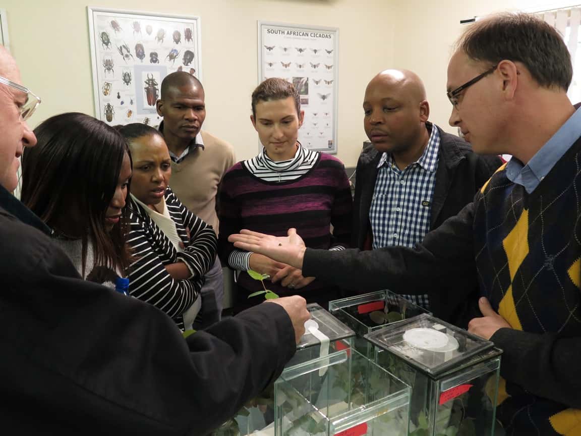 FABI welcomes DTI delegation