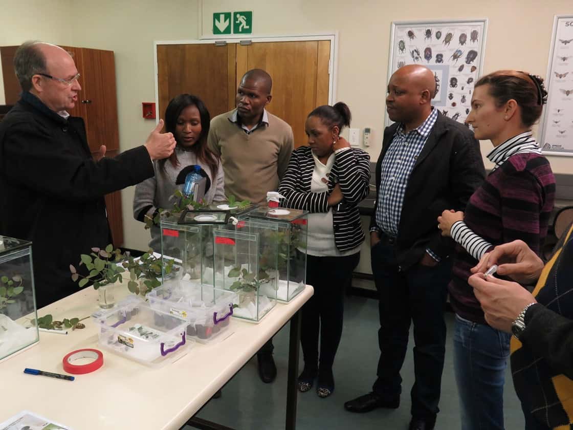 FABI welcomes DTI delegation