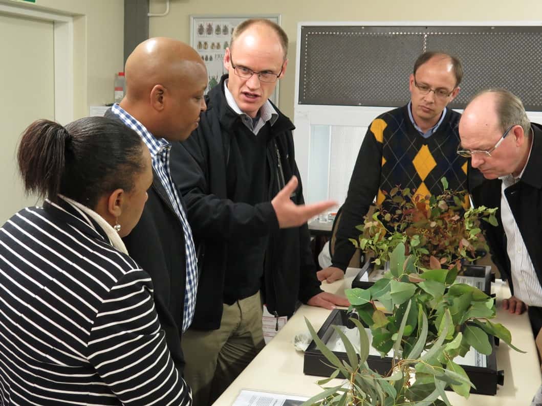 FABI welcomes DTI delegation