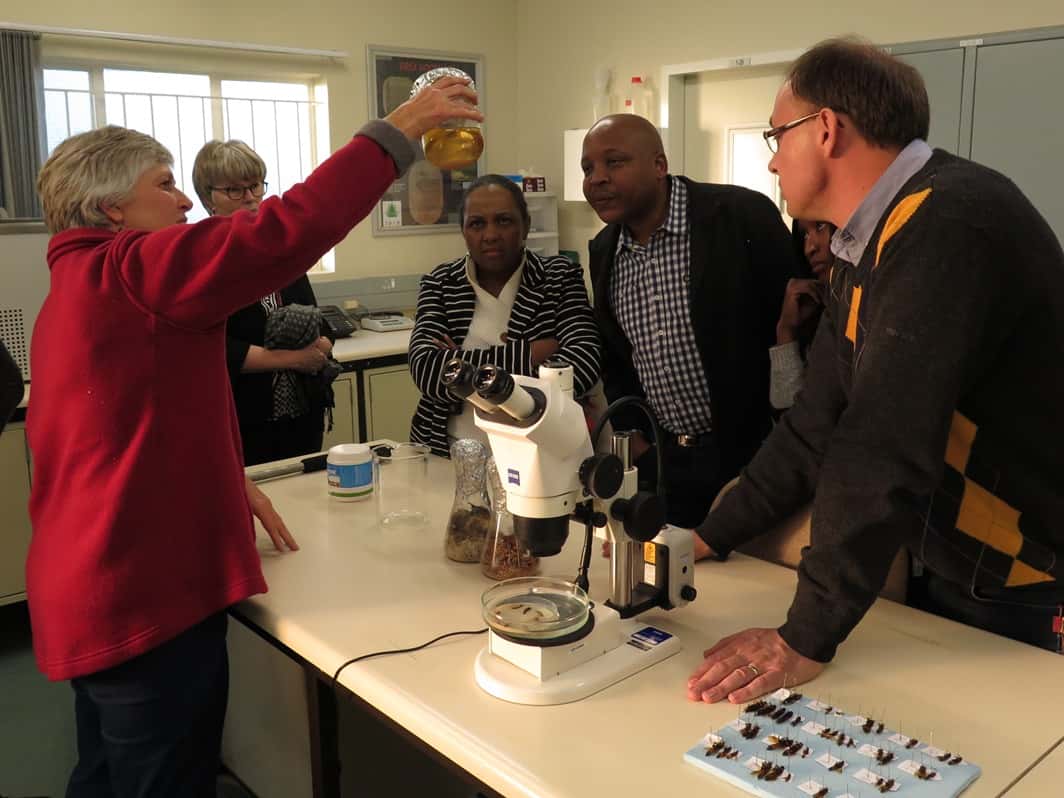 FABI welcomes DTI delegation