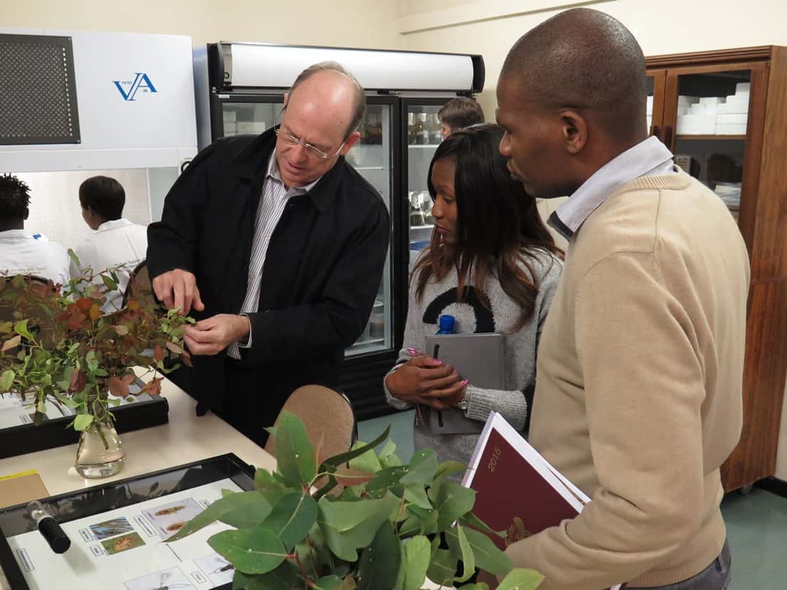 FABI welcomes DTI delegation