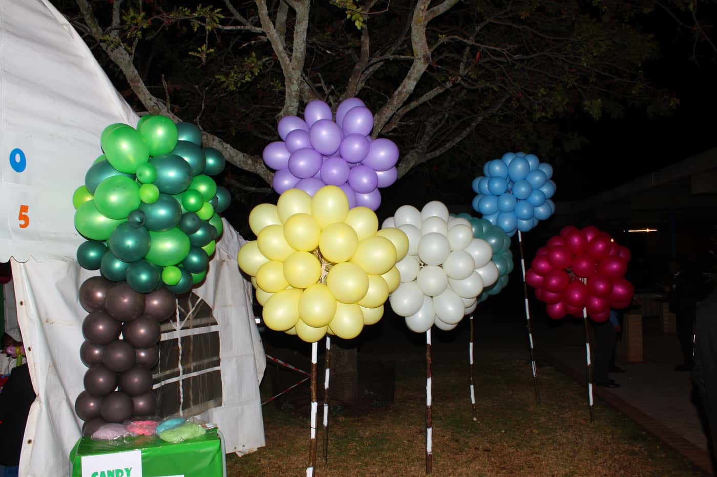 Celebrating the outrageous at SPOOF 2015