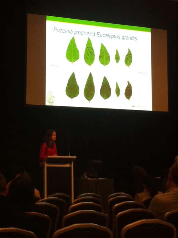 Six FABIans participate in the 20th Australasian Plant Pathology Society conference