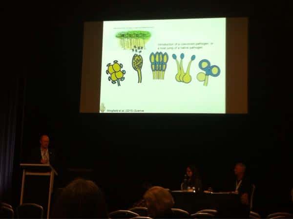 Six FABIans participate in the 20th Australasian Plant Pathology Society conference