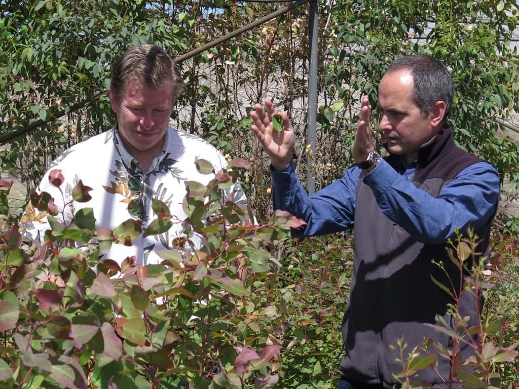 Plant pathologist from Washington State University presents a special seminar at FABI