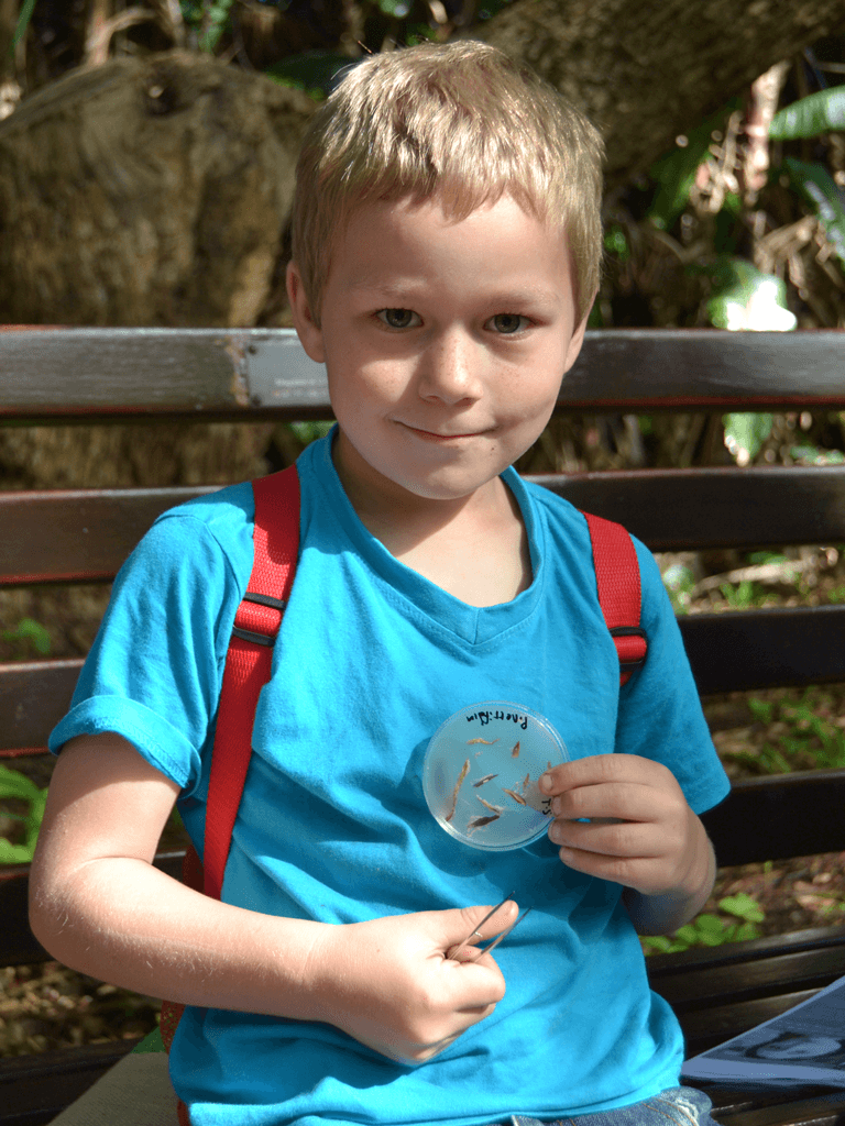 FABIan engages homeschool students in research project