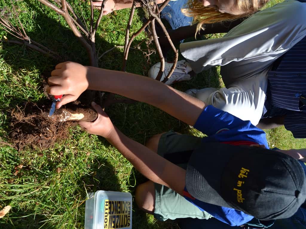 FABIan engages homeschool students in research project