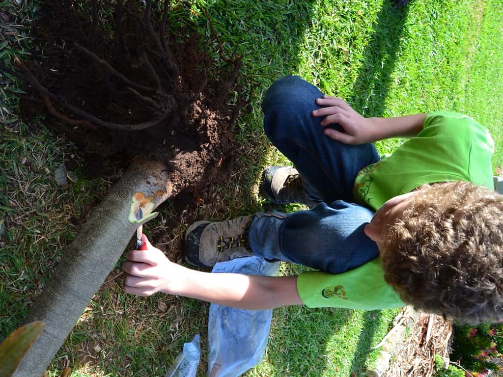 FABIan engages homeschool students in research project