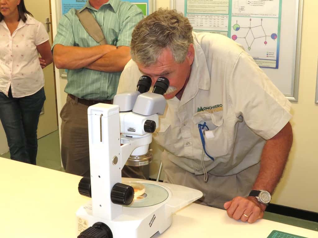 Macadamia growers visit FABI