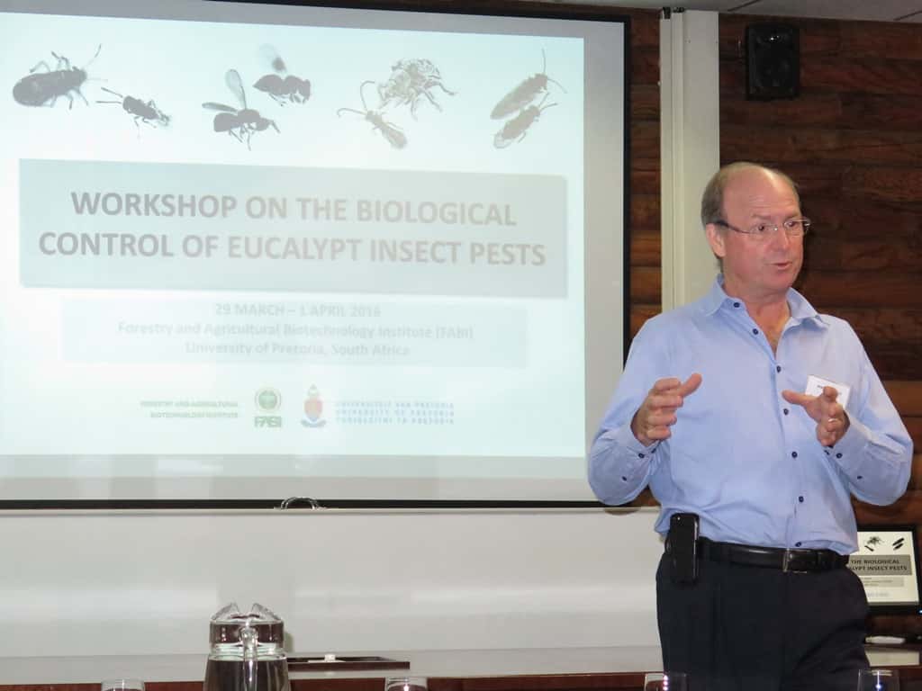 Building capacity in Africa: FABI hosts a workshop on the Biological Control of Eucalyptus Insect Pe