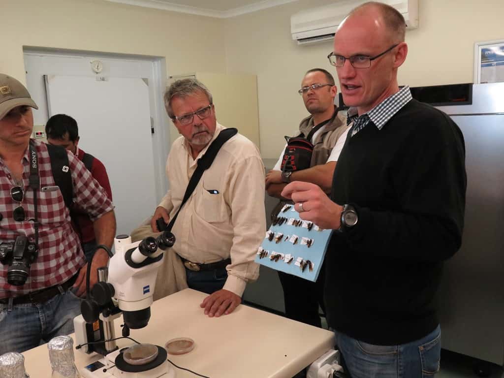 Argentinian tree growers visit FABI