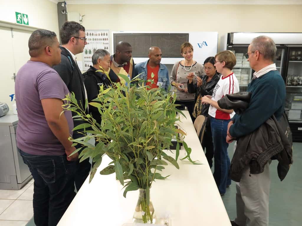 TPCP-CTHB Annual Meeting kicks off with symposium on indigenous tree health