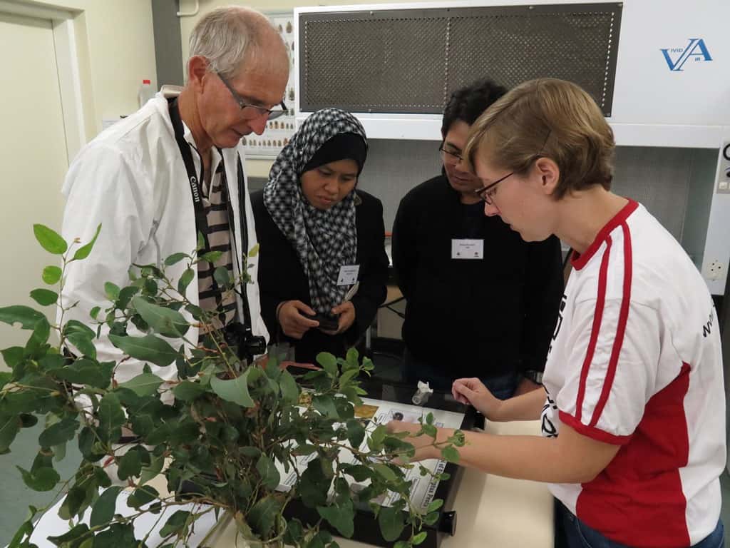 TPCP-CTHB Annual Meeting kicks off with symposium on indigenous tree health