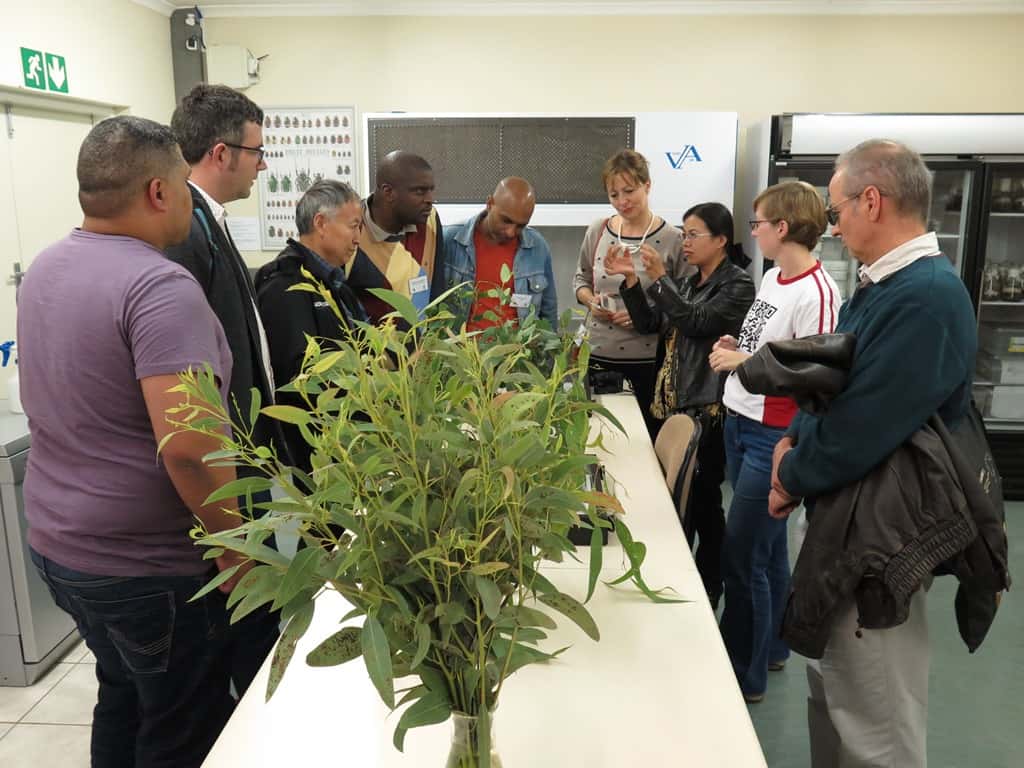 Riding the storm: Insights to global tree health issues the focus of the 27th Annual TPCP Symposium