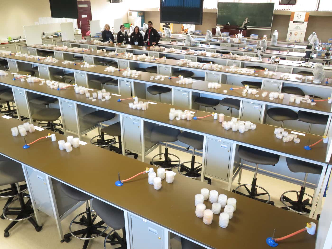 Fusarium Laboratory Workshop hosted by FABI