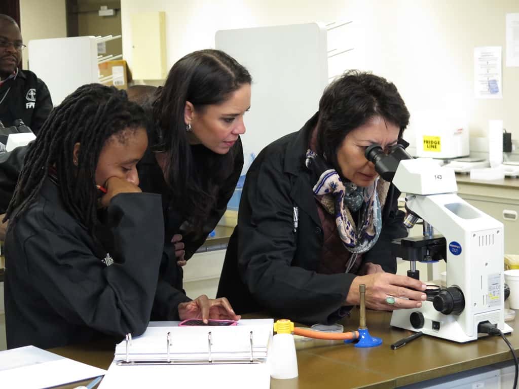 Fusarium Laboratory Workshop hosted by FABI