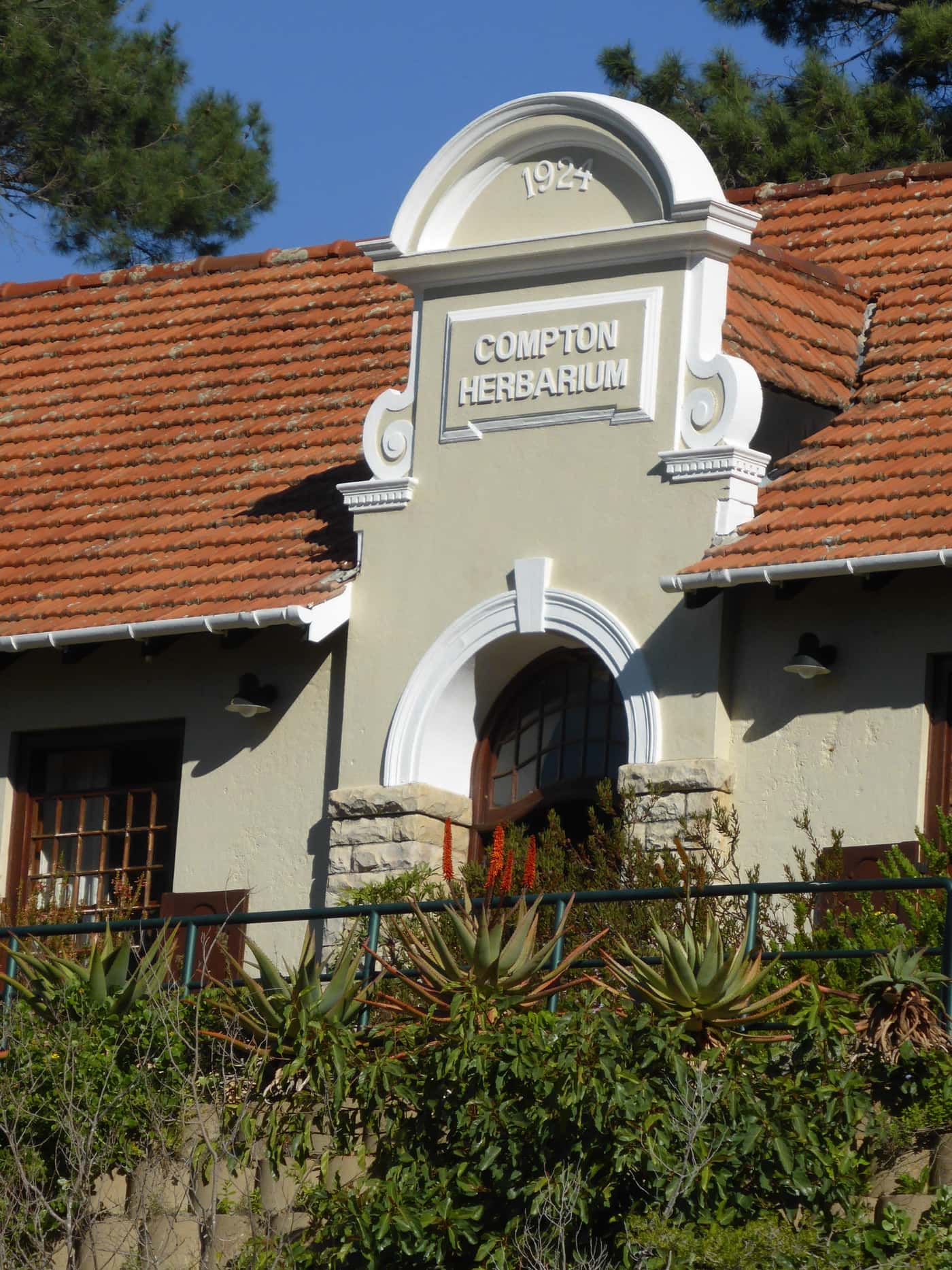 New bacterium discovered by FABI research team named after Kirstenbosch