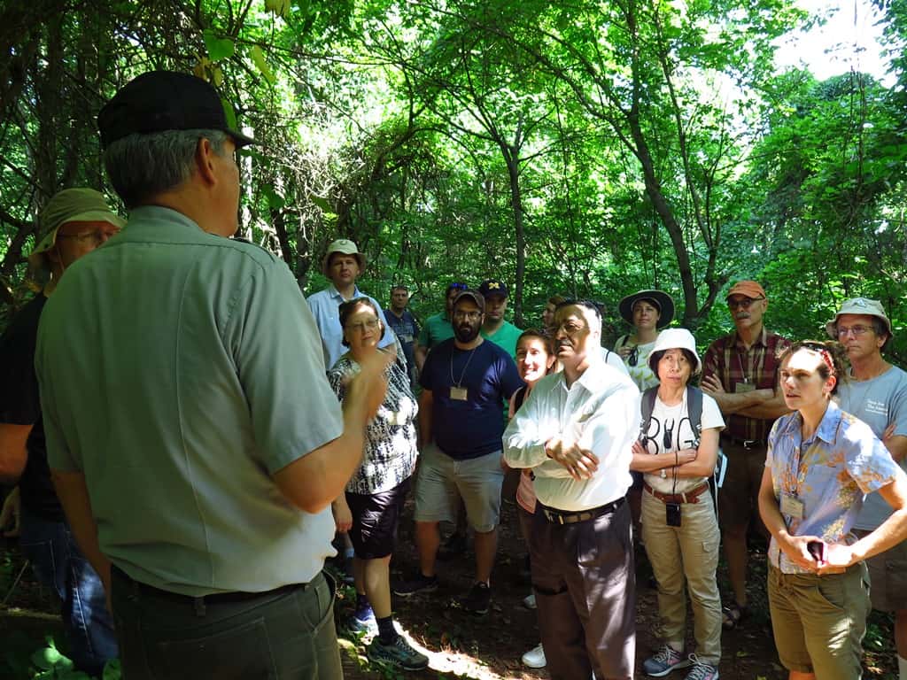 FABI scientists participate in IUFRO task force workshop on forest biological invasions