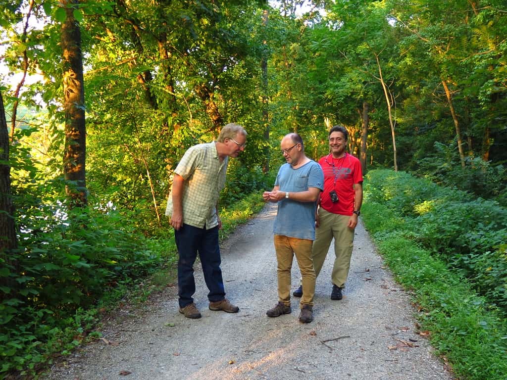 FABI scientists participate in IUFRO task force workshop on forest biological invasions