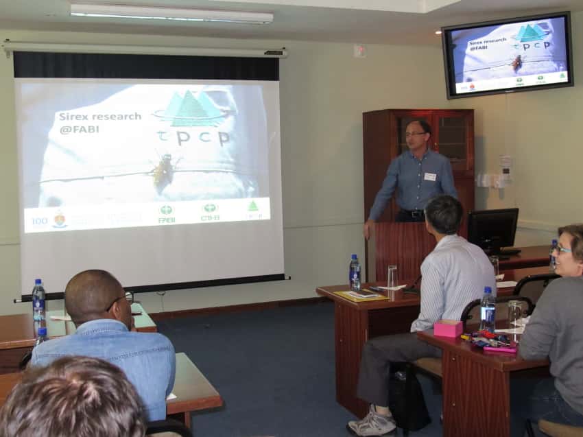 Sirex research in South Africa and Japan in the spotlight at a FABI mini-symposium