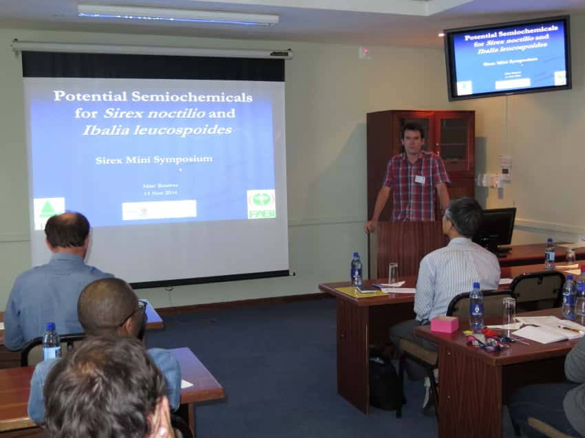 Sirex research in South Africa and Japan in the spotlight at a FABI mini-symposium