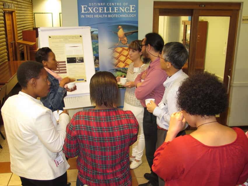 Sirex research in South Africa and Japan in the spotlight at a FABI mini-symposium