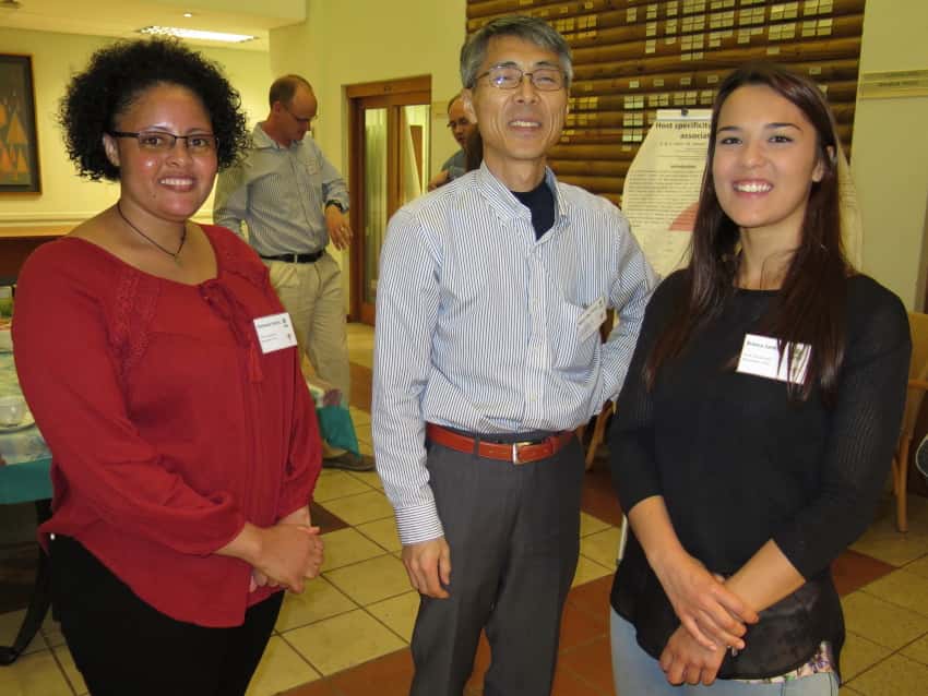 Sirex research in South Africa and Japan in the spotlight at a FABI mini-symposium