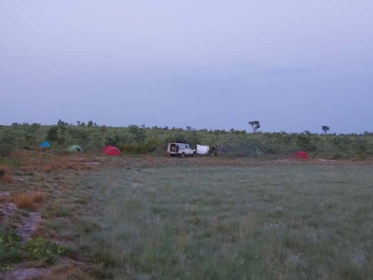 FABI researcher participates in National Geographic-Wild bird Trust project in Angola