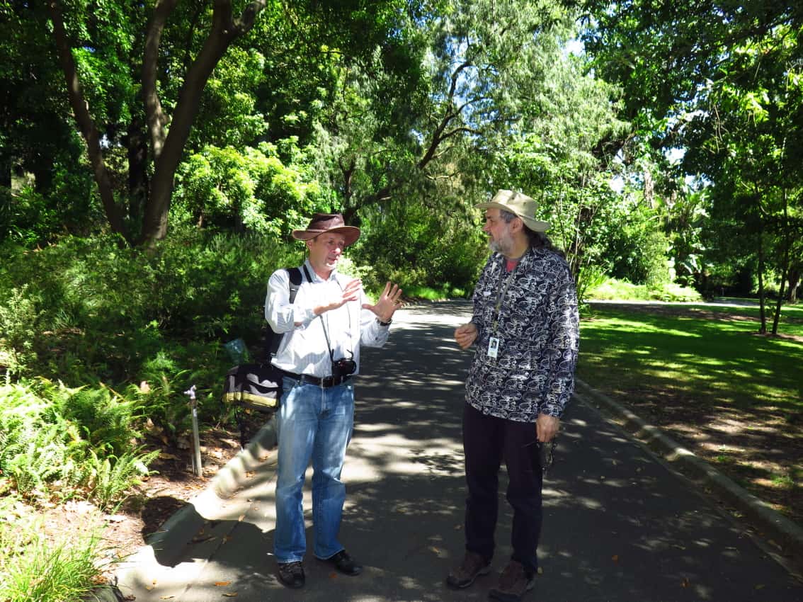 Mycological musing at the Melbourne Botanical Garden
