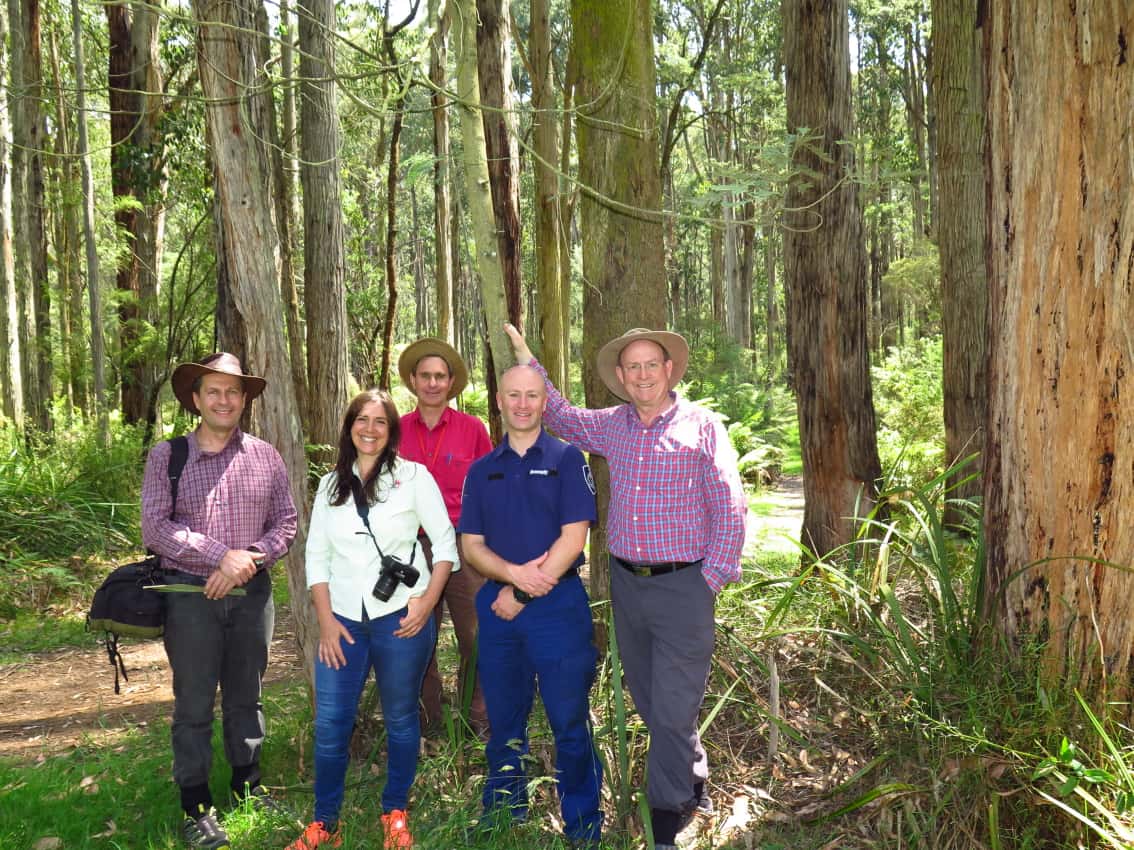 Exploring fungal biodiversity in eastern Australia