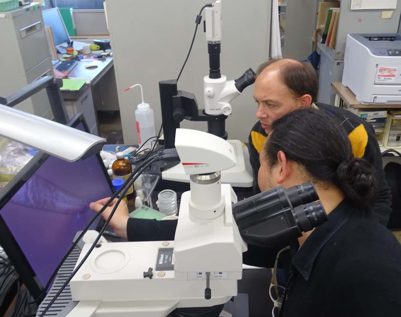 Growing collaborations between FABI and Japanese Forest and Forest Products Research Institute