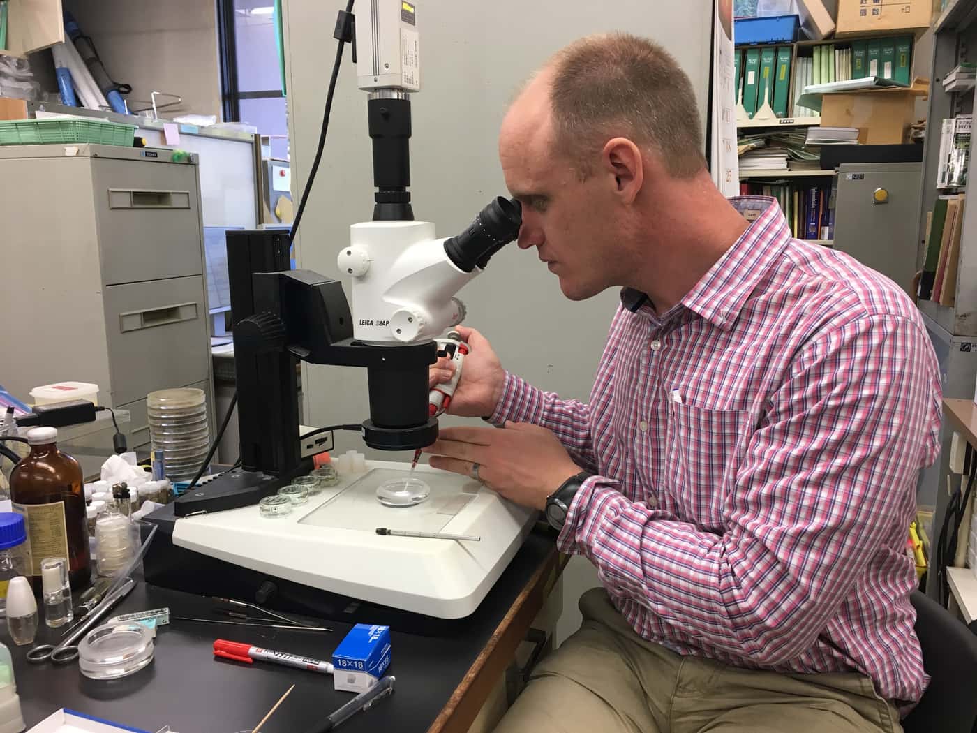 Growing collaborations between FABI and Japanese Forest and Forest Products Research Institute