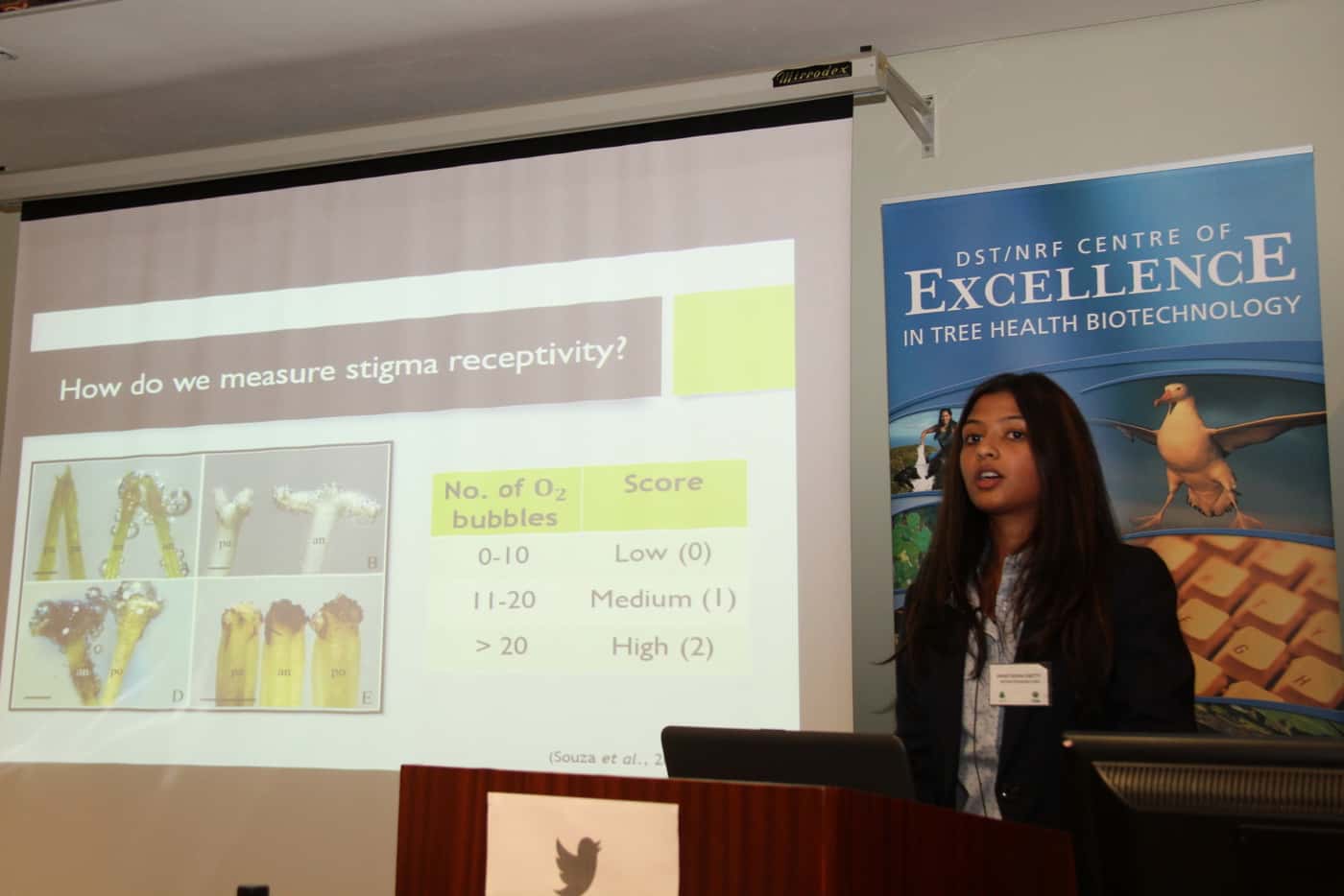 Research on indigenous tree health highlighted at the 2017 annual meeting of the CTHB