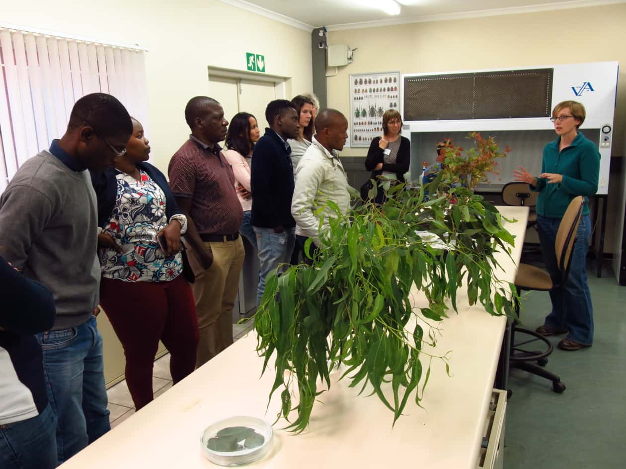 TUKS showcases international tree health research at the annual TPCP symposium