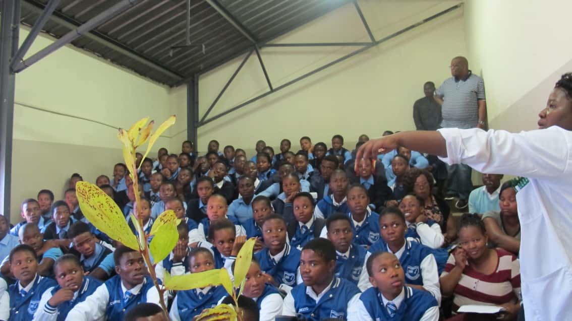 CTHB Outreach Team participates in Career Guidance Week in Mpumalanga