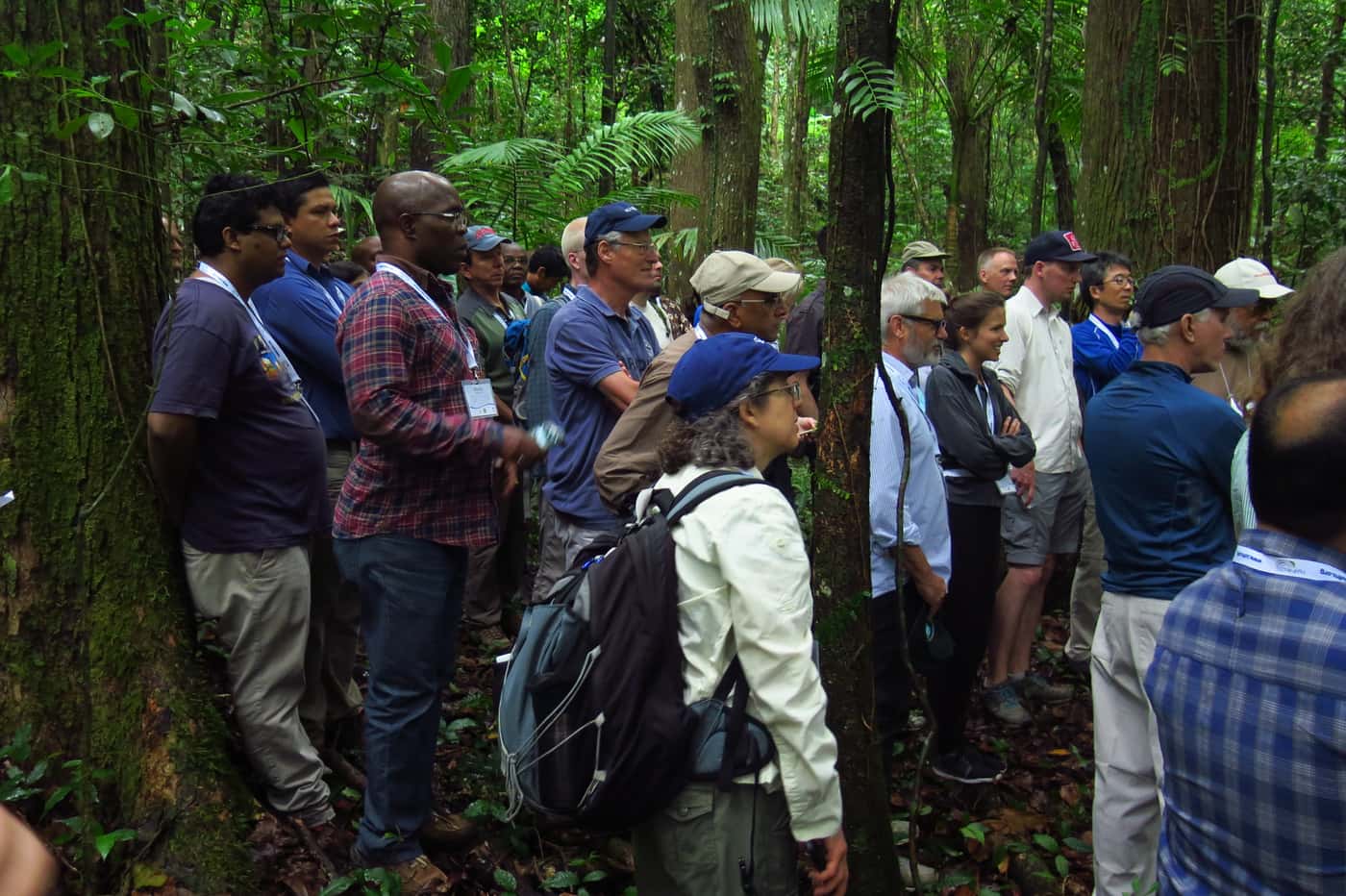 IUFRO Forest Landscape Restoration Workshop In Puerto Rico