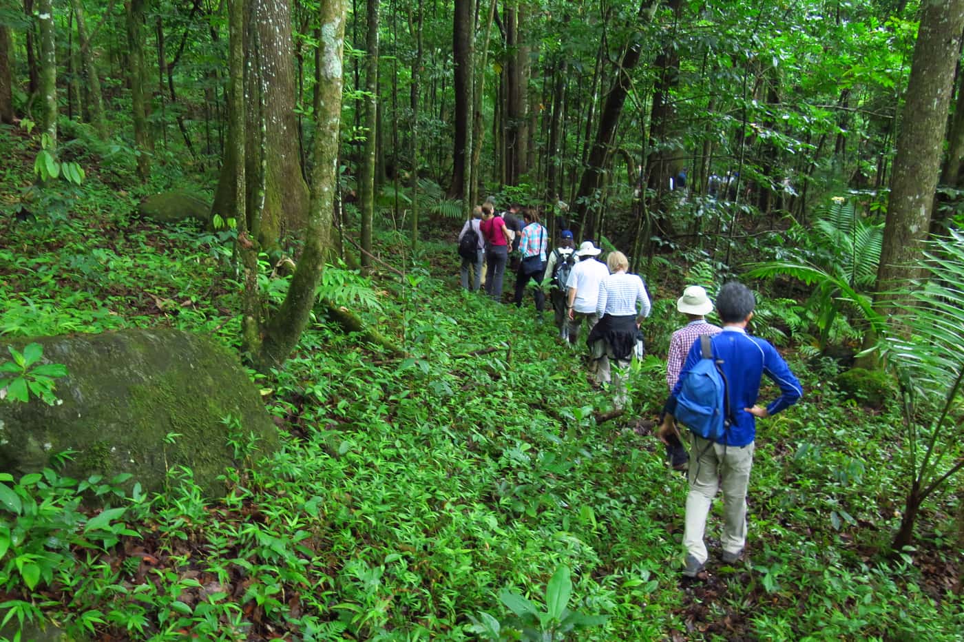 IUFRO Forest Landscape Restoration Workshop In Puerto Rico