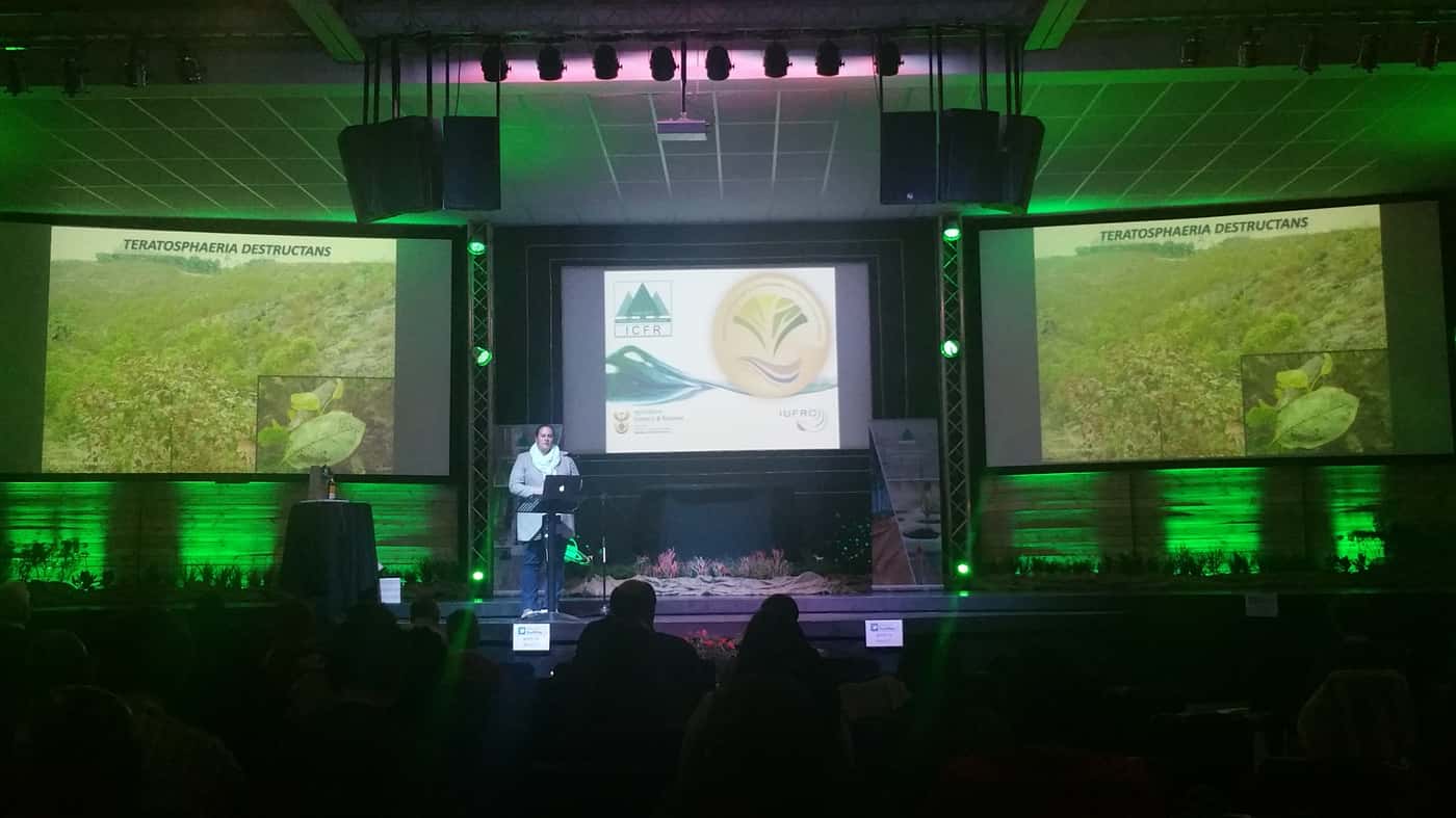FABIans contribute to the sustainability of a diverse forestry sector at the 7th Forestry Science Sy