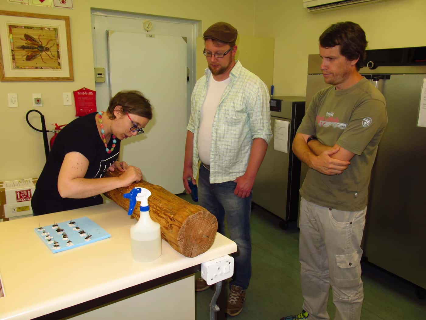 Senior research scientist from Finland visits FABI