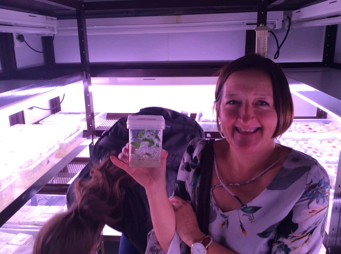 Syngenta team visits FABI