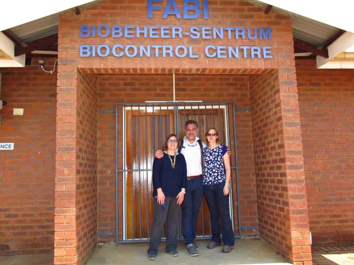 Italian forest pathologist visits FABI
