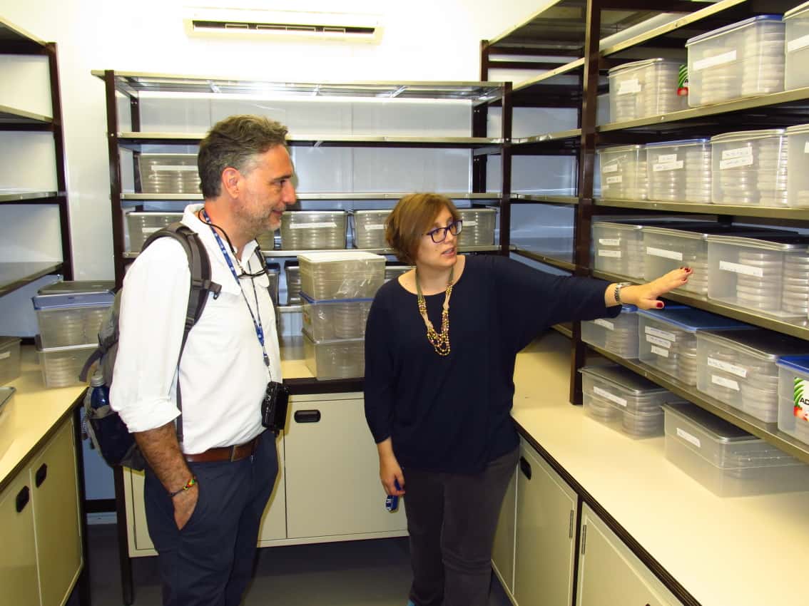 Italian forest pathologist visits FABI
