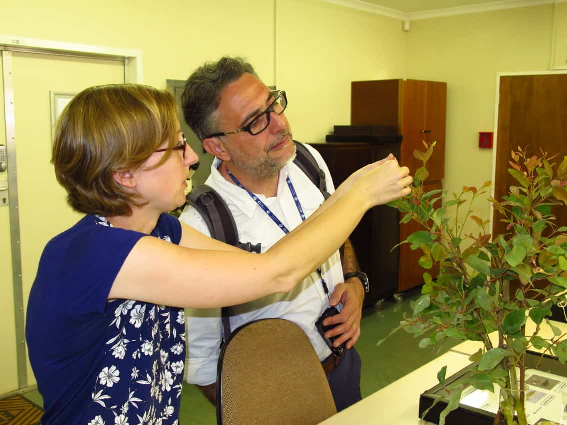 Italian forest pathologist visits FABI