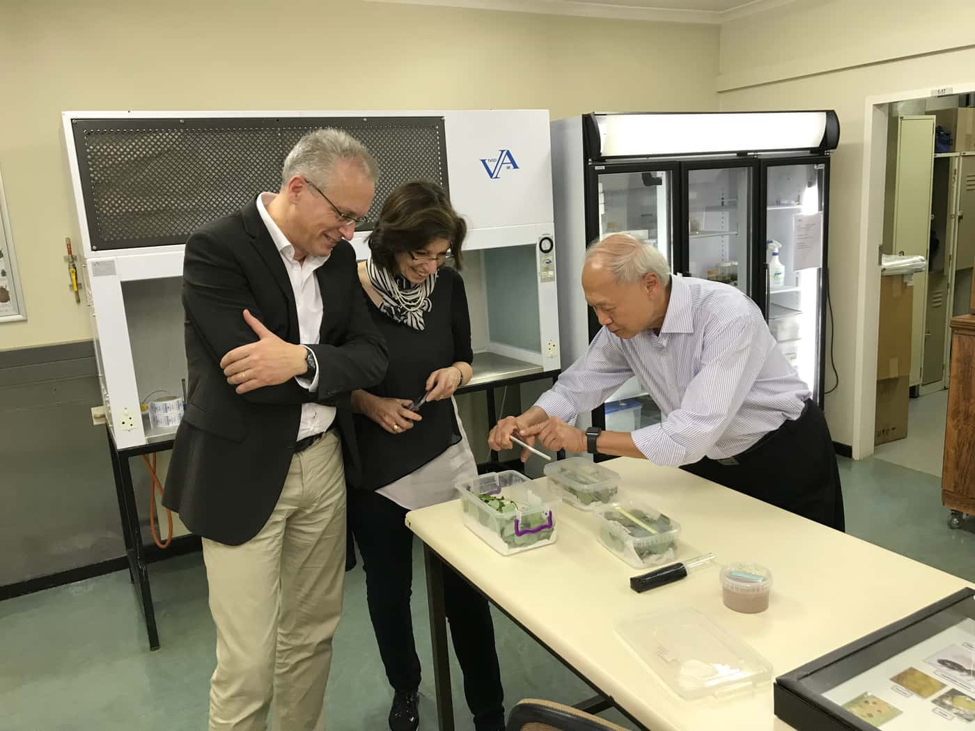 Plant pathologists from UK and Singapore visit FABI