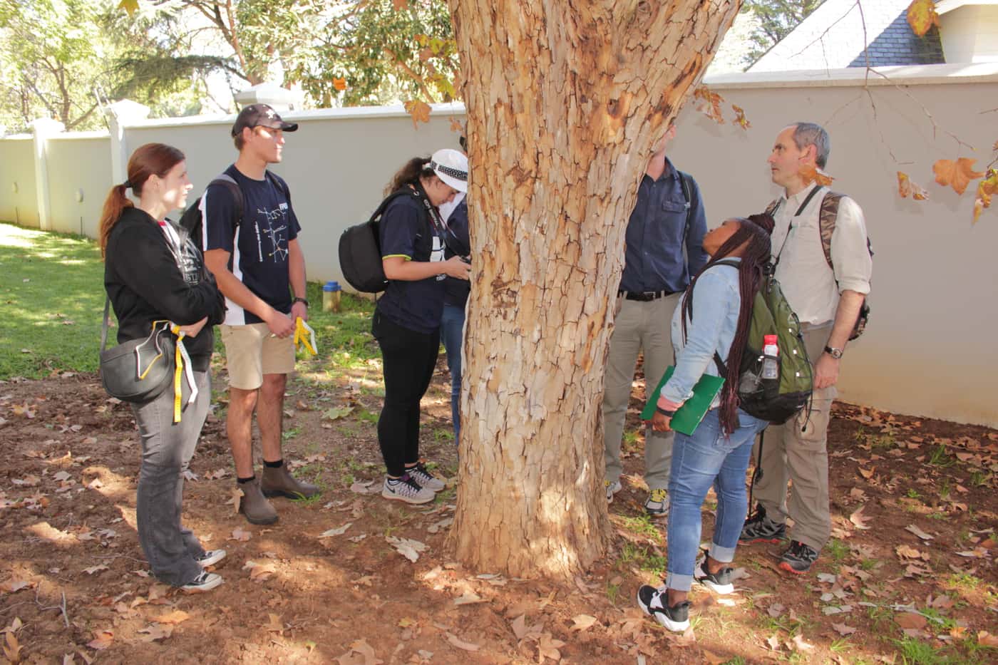 FABI Team surveys Johannesburg gardens for PSHB infestations