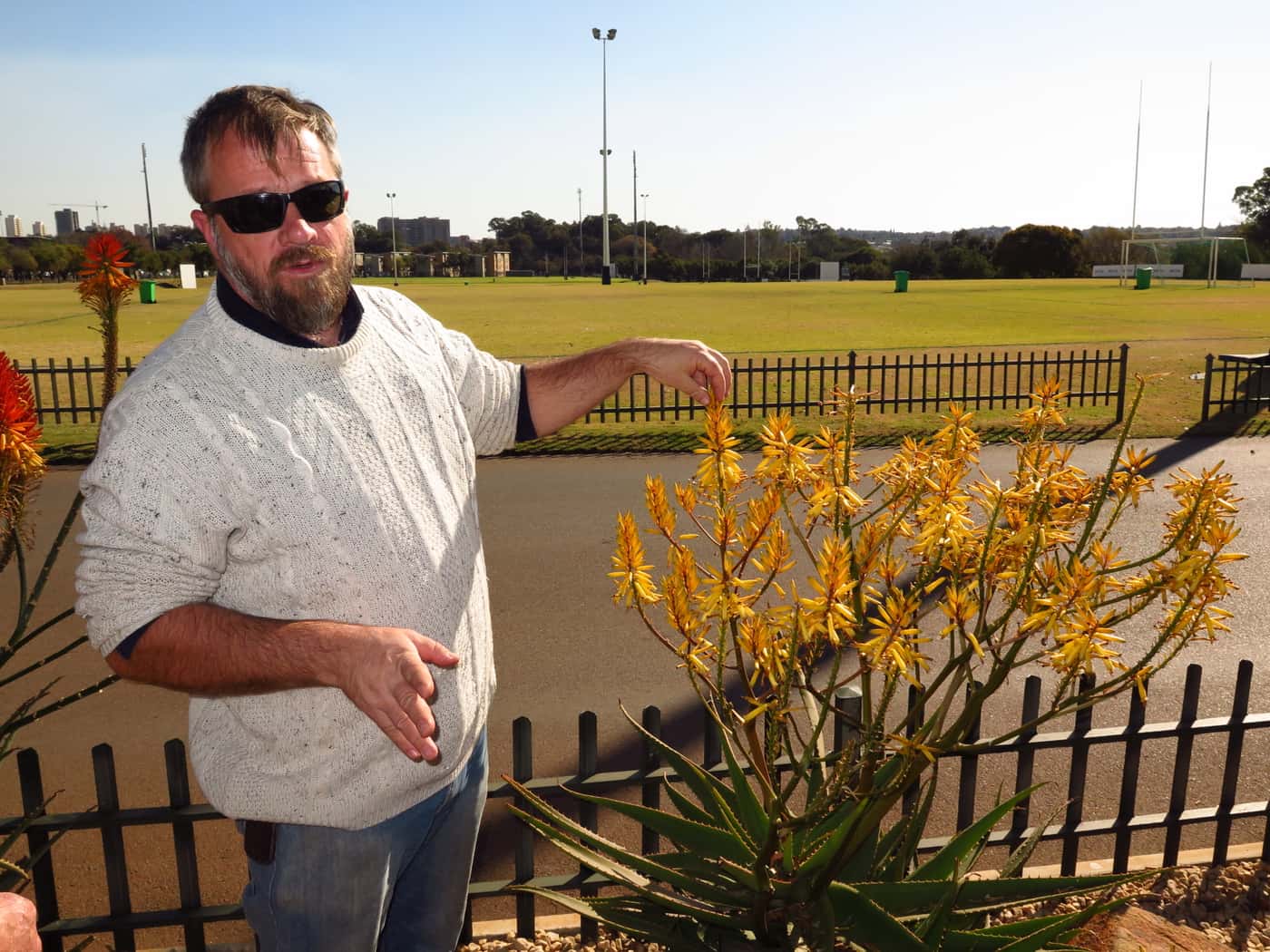 FABIans take in spectacle of aloes in full bloom